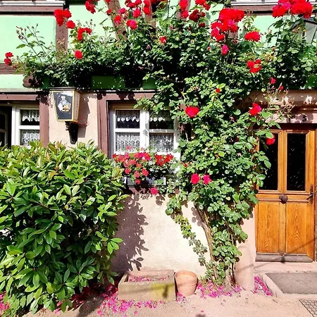 Gambrinus 3* Beblenheim